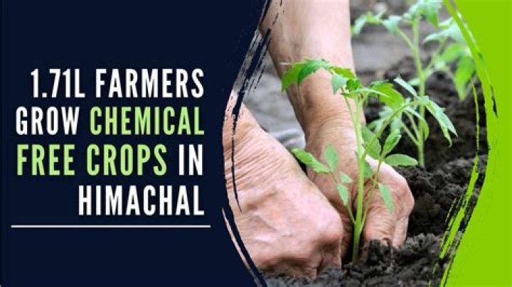 
1.71 lakh farmers grow chemical-free crops in Himachal 