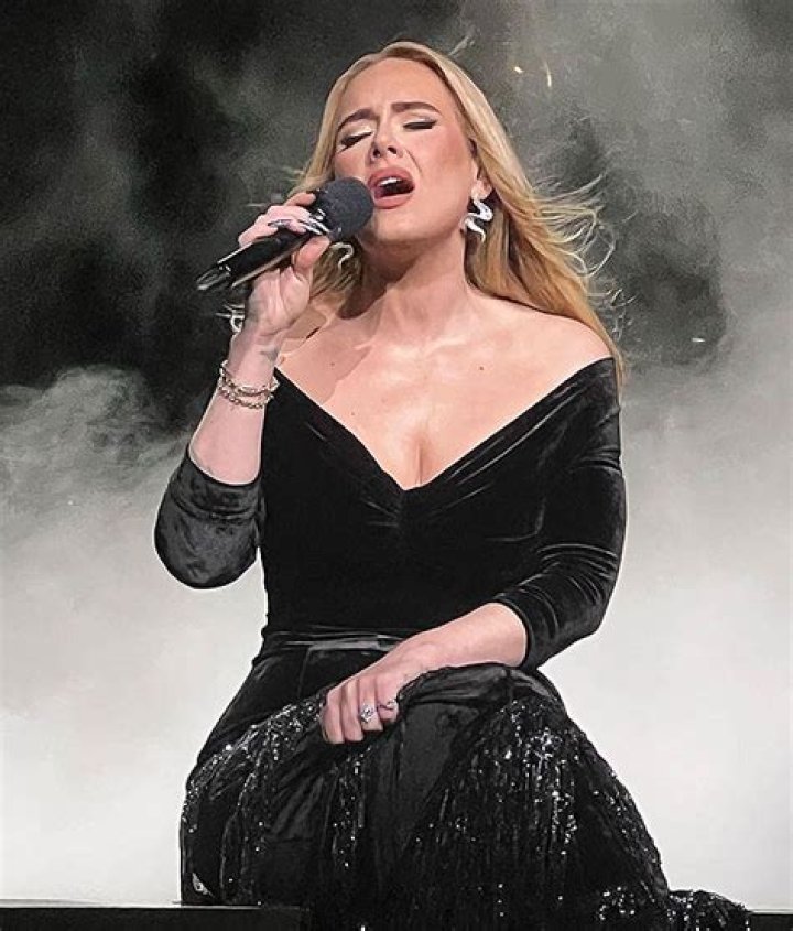 Adele Asks Las Vegas Audience If They Would Go On Titanic Submarine: Watch