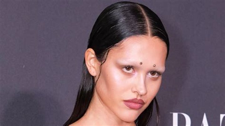 Amelia Hamlin Shaves Off Her Eyebrows For Photo Shoot In Wild TikTok