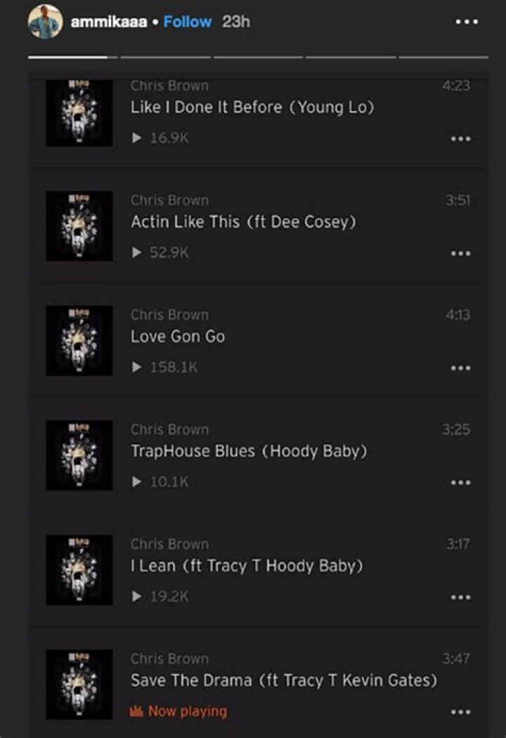 Ammika Harris Jams Out To An All-Chris Brown Playlist As Fans Speculate Their Relationship Status