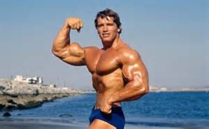 Arnold Schwarzenegger’s Sons: Photos – Hollywood Life