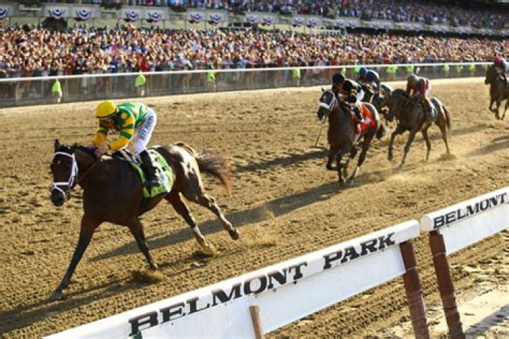 Palace Malice: 2013 Belmont Stakes Winner