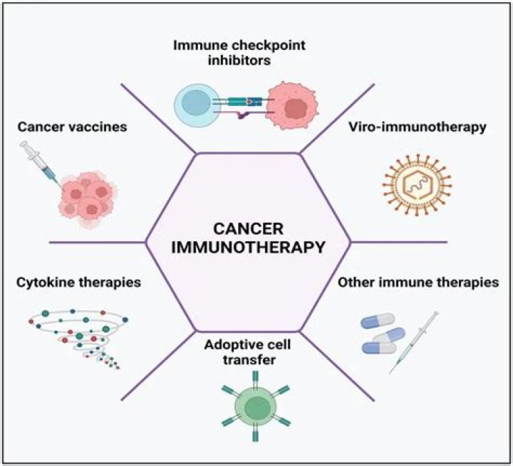 ‘Dog’s Most Wanted’: Beth Chapman Switches To CBD Treatments After Stopping Chemo