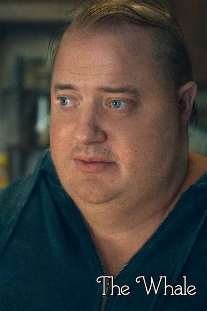 See Movie Pic – Hollywood Life