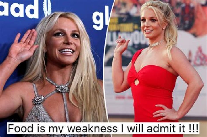
Britney Spears Gets Strict Warning from Animal Control After her Dog Bites Elderly Man 