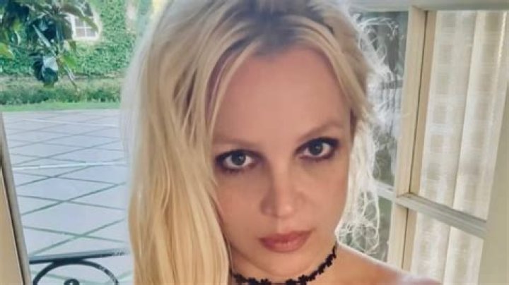 Britney Spears Returns To Instagram In Sheer Crop Top & Velvet Miniskirt: Photos
