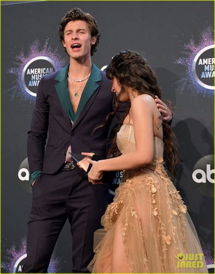Fifth Harmony’s Camila Cabello Blows Kisses At Shawn Mendes During AMAs Performance