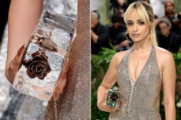 Camila Cabello’s 2024 Met Gala Purse Was a Real Dripping Ice Cube: Photos