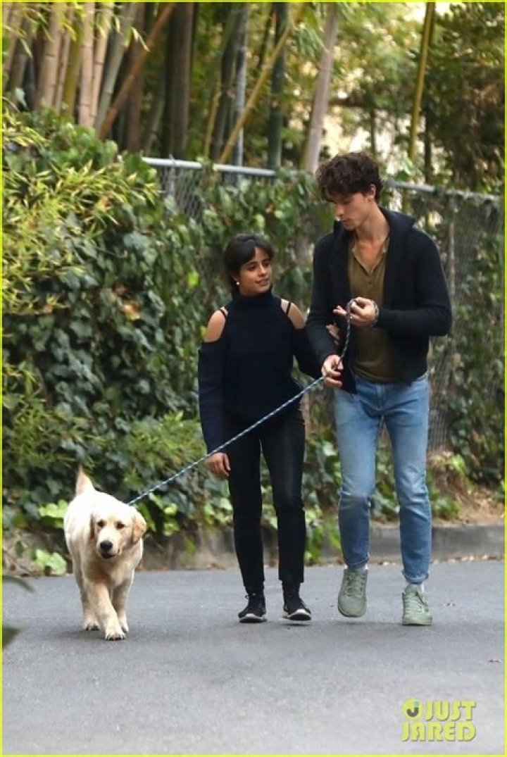 Camila Cabello Stuns In Bright Yellow Tube Top During Romantic Stroll With Shawn Mendes — Pic