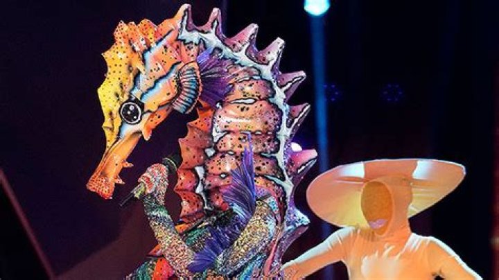 Chloe Kim Is The Jellyfish On ‘The Masked Singer’ — Semi-Finals Recap – Hollywood Life