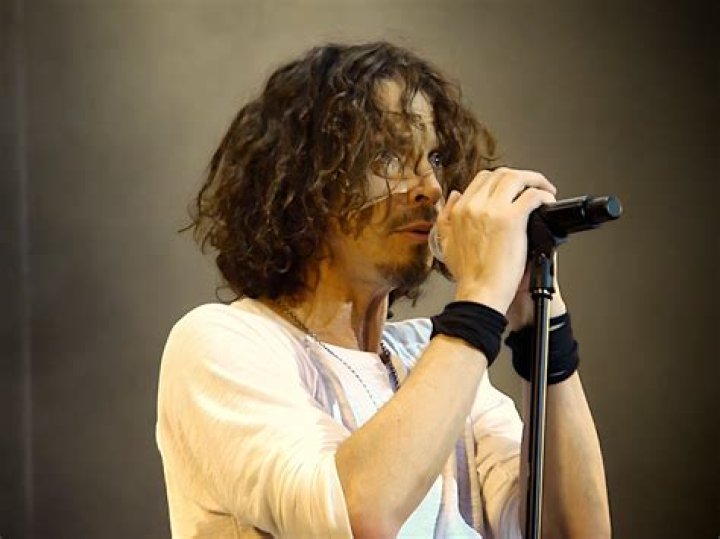 From Soundgarden To Audioslave – Hollywood Life