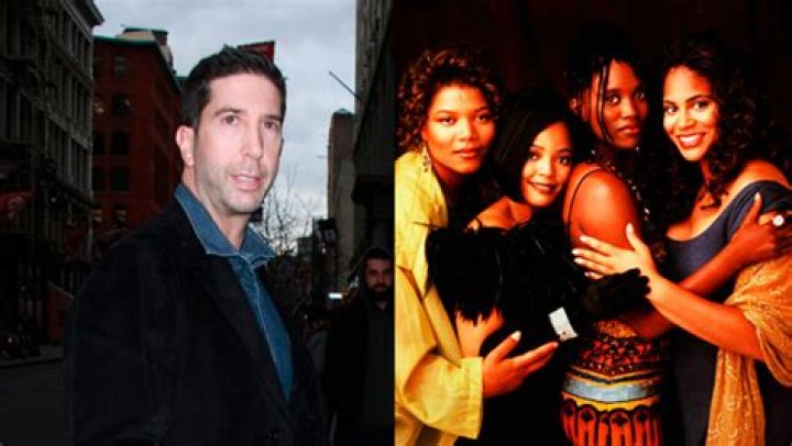 David Schwimmer Faces Heat After Proposing ‘All-Black’ Version Of ‘Friends’: It Was Called ‘Living Single’