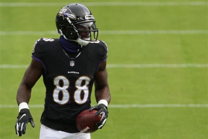 Dez Bryant Celeb Bio – Hollywood Life