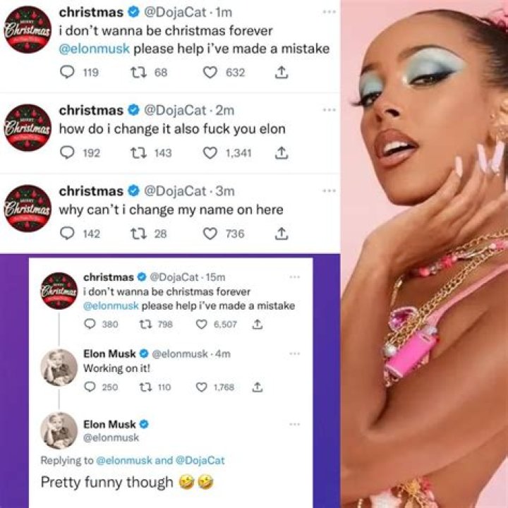 Doja Cat Slams Fan Accounts & ‘Kittenz’ Nickname – Hollywood Life