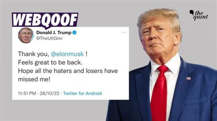 Donald Trump Gets Roasted After Dragging Nickelback Into His Feud With The Bidens — See Tweets