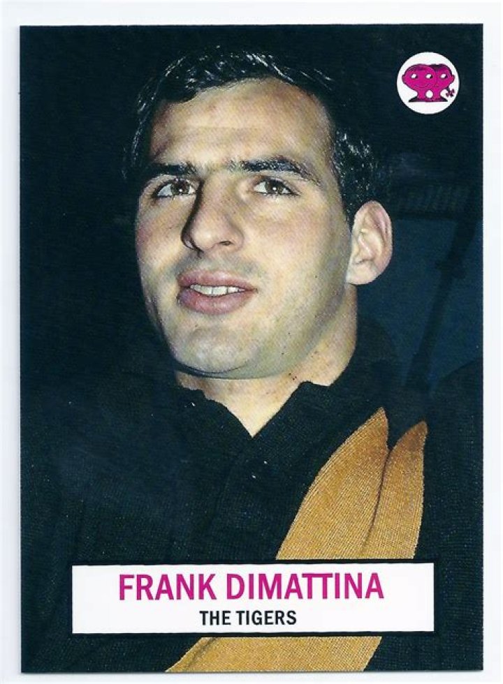 Frank Dimattina Age, Birthday, Wikipedia, Who, Nationality, Biography