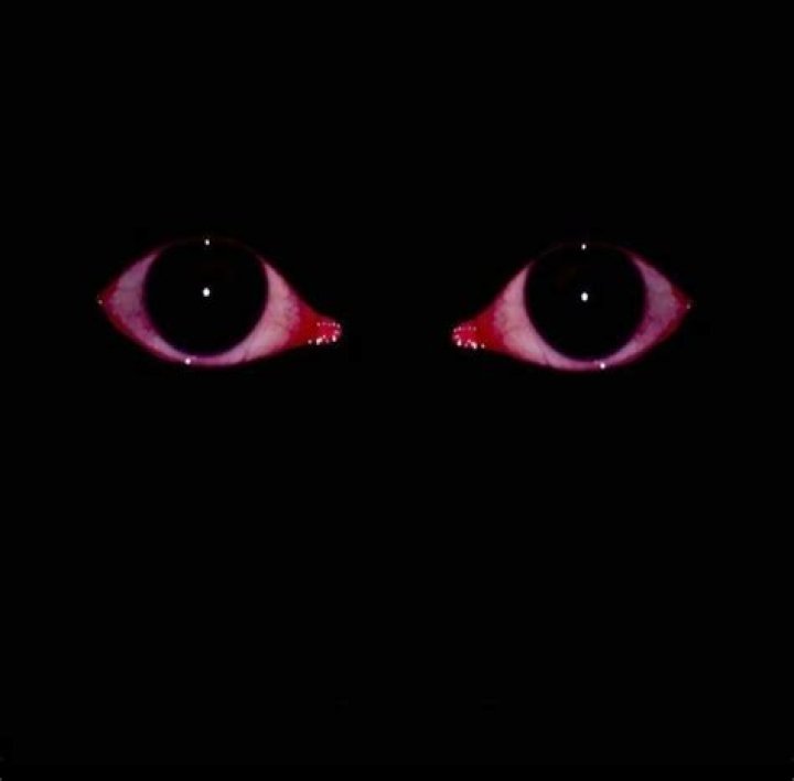 ‘Friends’ Die-Hard Fans Spot Creepy Demon In Background Of Iconic Episode During Rewatch