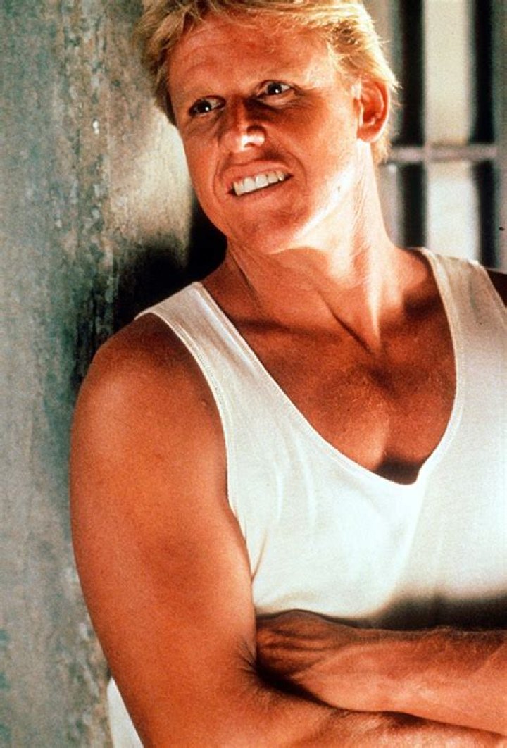 Gary Busey Denies Sexual Assault Allegations: Actor Insists ‘Nothing Happened’