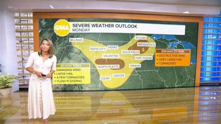 Ginger Zee’s Adorable Son Miles, 2, Walks On Screen As She Reports The Weather In Sweet Video — Watch