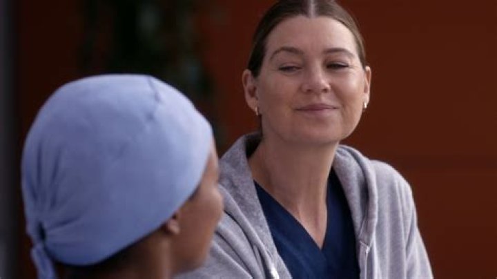 Meredith & Amelia Fight Over Derek’s Death – Hollywood Life
