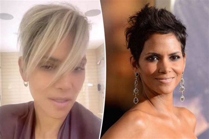 Halle Berry Returns To Blonde Hairstyle In Los Angeles: Photos – Hollywood Life
