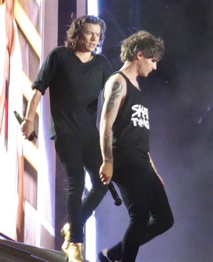 Harry Styles Tired Of Louis Tomlinson Fighting With Naughty Boy – Hollywood Life