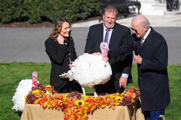 President Biden Pardons 2 Turkeys On White House Lawn & Jokes About Lack Of ‘Red Wave’ In Midterms