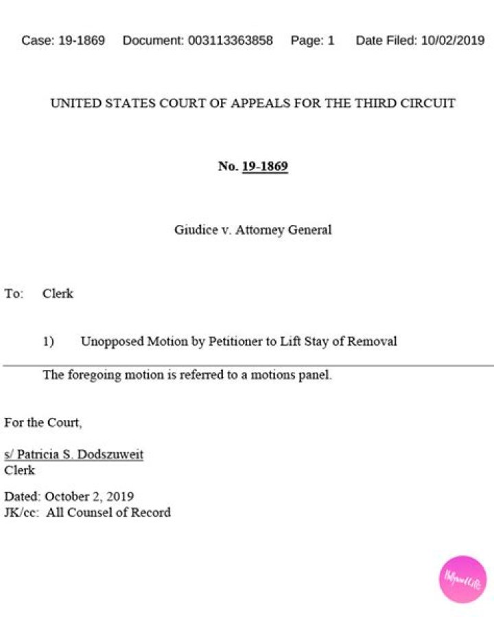 Joe Giudice Approved To Leave Teresa & Daughters & Be Deported To Italy After ICE Incarceration — New Docs