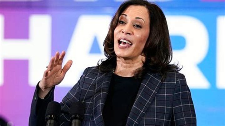 Kamala Harris Bursts Out Laughing As She Finally Breaks Her Silence On The Fly On Mike Pence’s Head