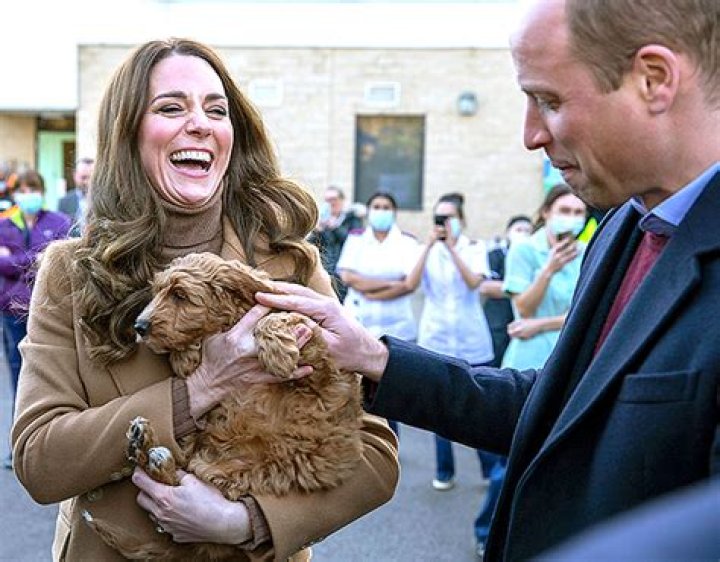Kate Middleton & Prince William Cradle An Adorable Therapy Dog In Their Arms During Royal Visit