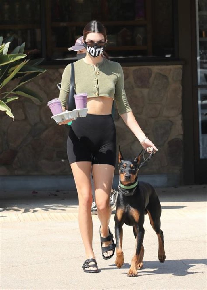 Kendall Jenner Walks Her Dog Pyro In A Pair Of Short Shorts: Pic – Hollywood Life