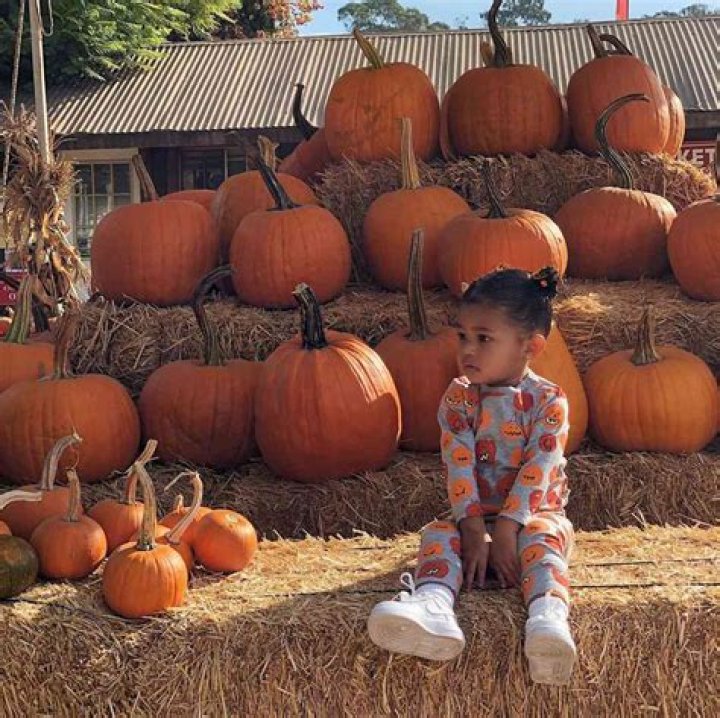 Pregnant Kylie Jenner Visits A Pumpkin Patch With Stormi & True – Hollywood Life