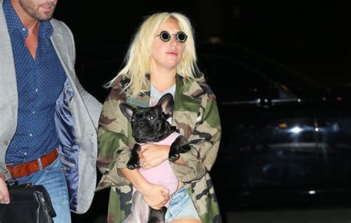 Lady Gaga’s Dognapper Sentenced To 21 Years In Prison After Shooting Walker & Stealing French Bulldogs