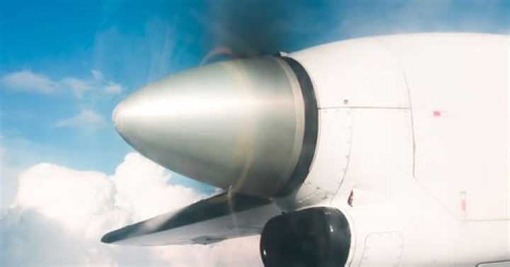 Lauren Scruggs’s Accident Update — She Was Warned By Pilot Before Walking Into Propeller – Hollywood Life