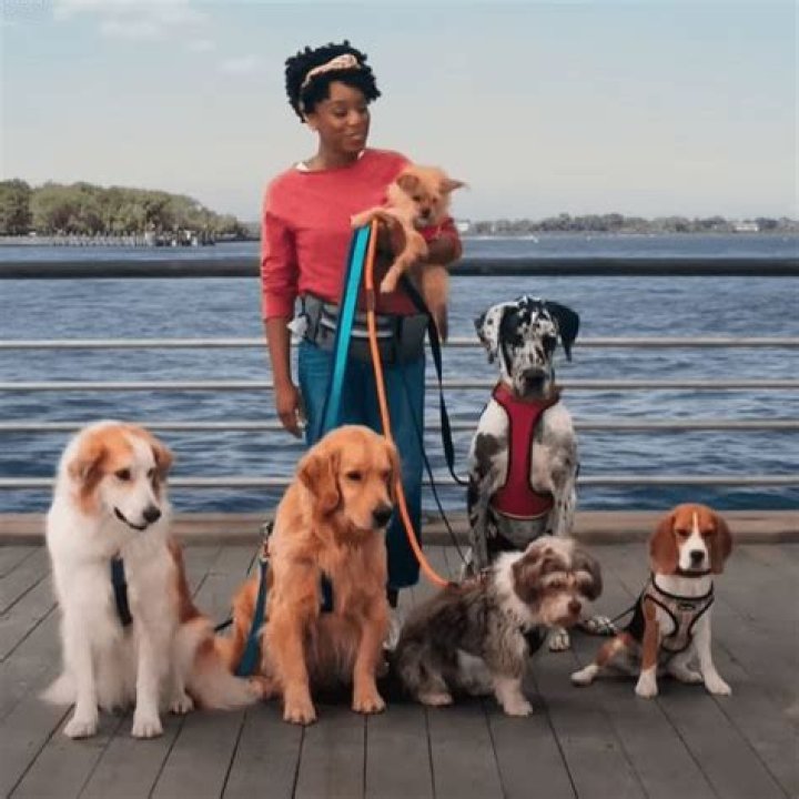 Liberty Mutual Dog Walking Commercial Actress: Idara Victor