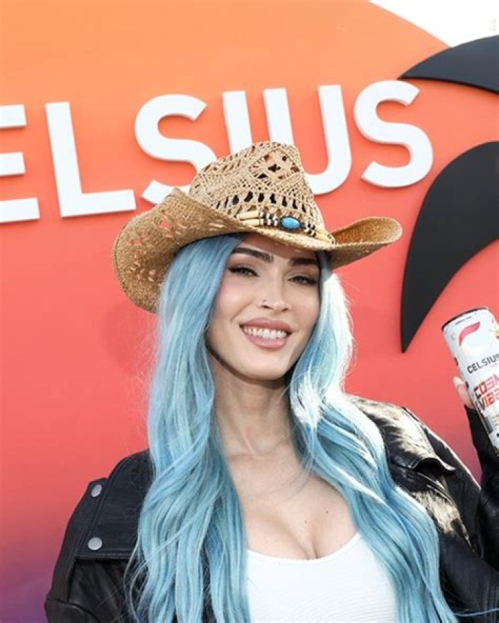 Megan Fox Looks Different in Makeup-Free Selfie After Coachella, Fans Claim: Photo