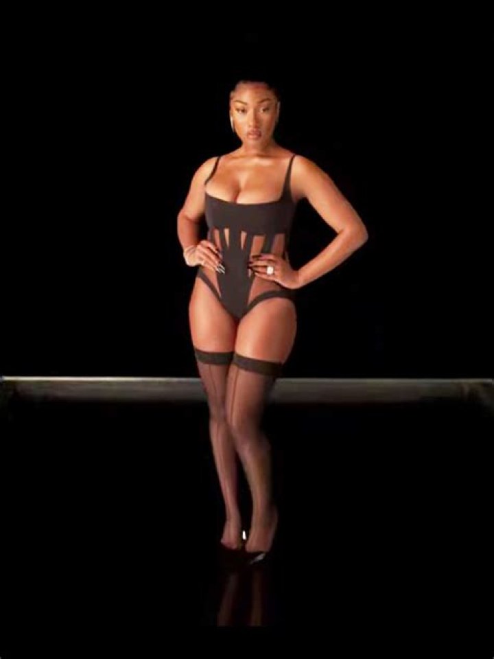 Megan Thee Stallion’s Sexy ‘Plan B’ Music Video: Watch – Hollywood Life