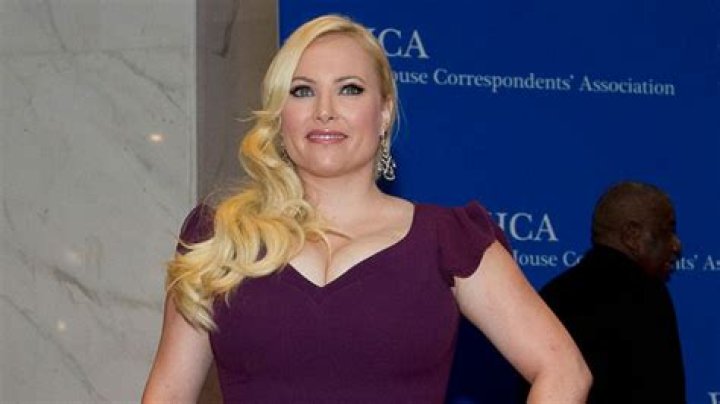 Meghan McCain Claps Back At ‘View’ Fan’s Shady Comment About Her Hair Growing ‘Really Fast’
