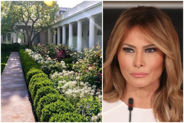 Melania Trump: Over 51K Sign Petition Begging Bidens To Restore The Rose Garden She ‘Made Over’