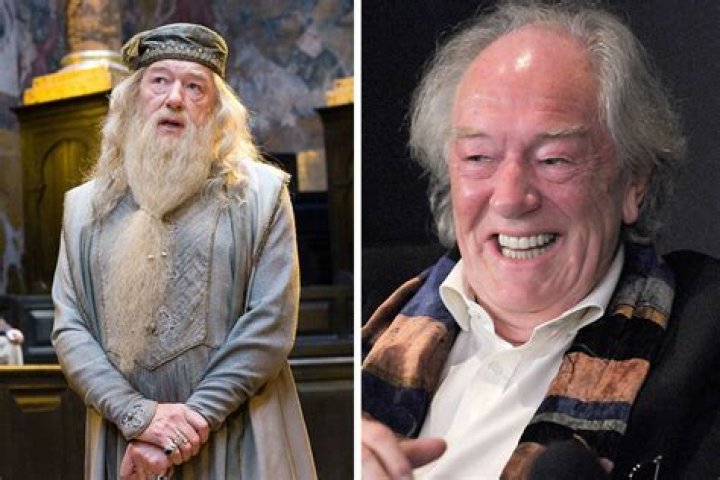 ‘Harry Potter’s Dumbledore Dies at 82 – Hollywood Life