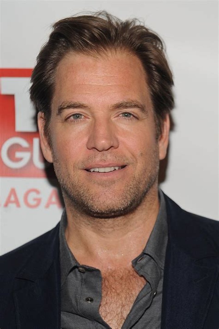 Michael Weatherly Celebrity Profile – Hollywood Life