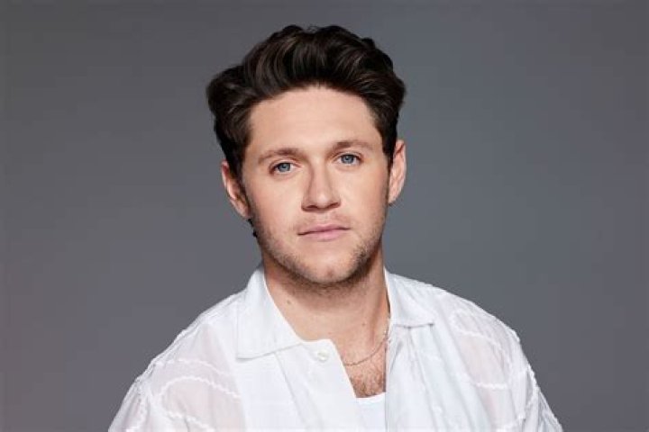 Niall Horan Hooking Up With Sexy Brazilian Singer Anitta