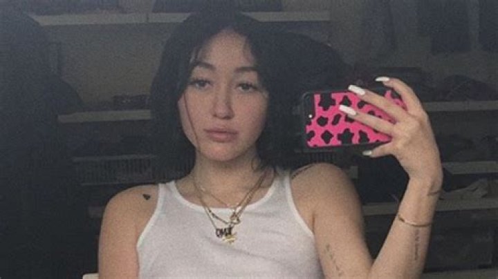 Noah Cyrus Goes Braless In Crop Top For Birthday Pic – Hollywood Life