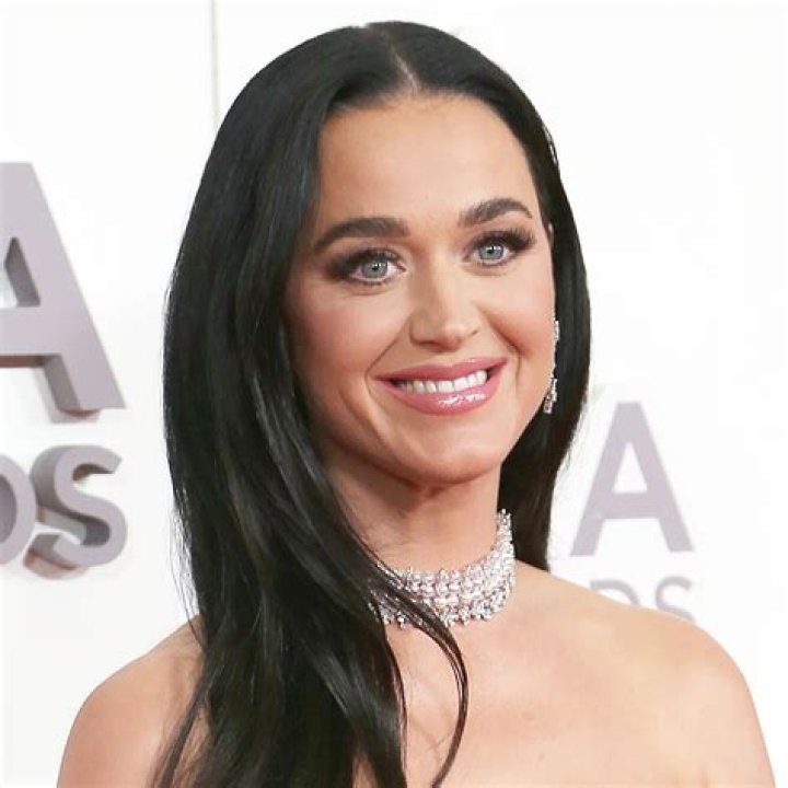 Orlando Bloom Approves Of Katy Perry’s Dark Hair Makeover – Hollywood Life