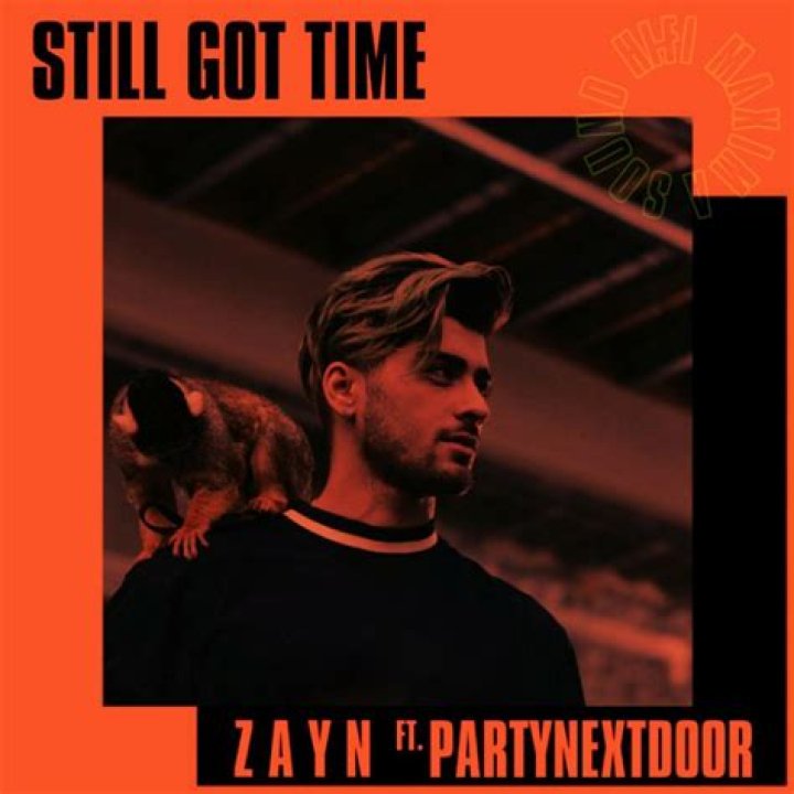 Zayn & PartyNextDoor Feuding After Hit Collaboration? — See The Shocking Evidence