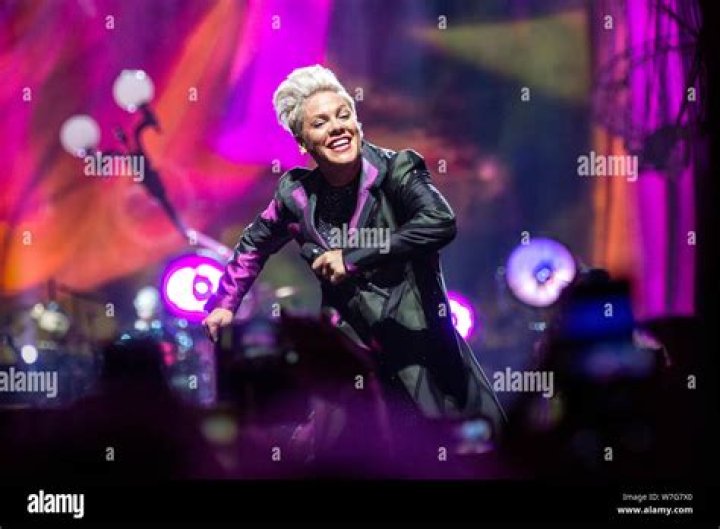 Pink News, Music, Photos And Videos – Hollywood Life