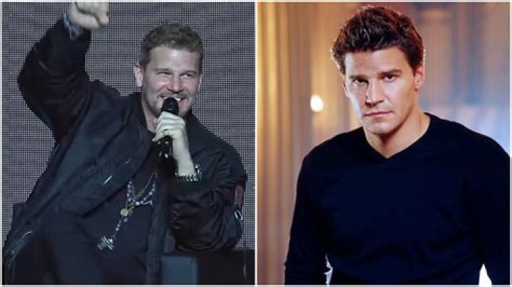 Rachel Uchitel Thought David Boreanaz Would Leave His Wife For Her!! – Hollywood Life