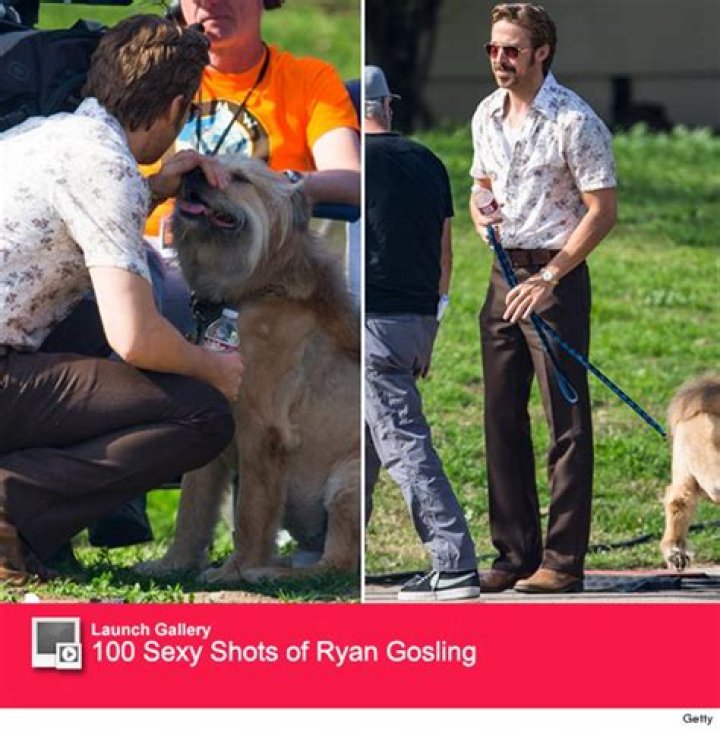 Recreates Famous ‘Notebook’ Scene With Pup In NYC – Hollywood Life