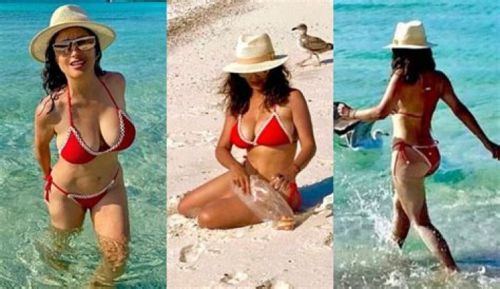 How She Keeps A Sexy Body At 51 Through Diet & Exercise – Hollywood Life