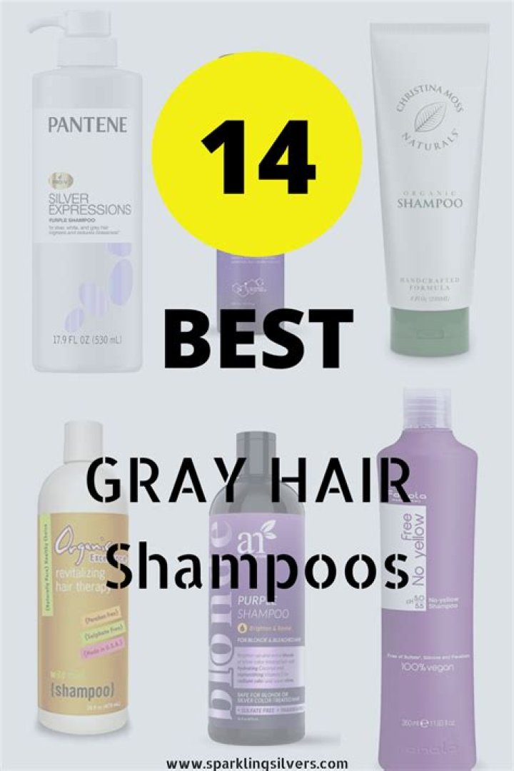 Highest-Rated Shampoos for Gray Hair of 2024 – Hollywood Life Reviews – Hollywood Life